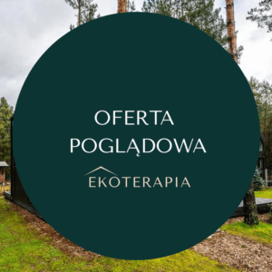 Domek w Łomży (Oferta poglądowa)