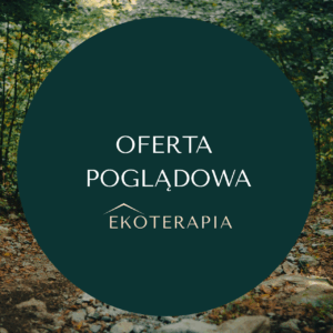 Wypożyczenie roweru (Oferta poglądowa)